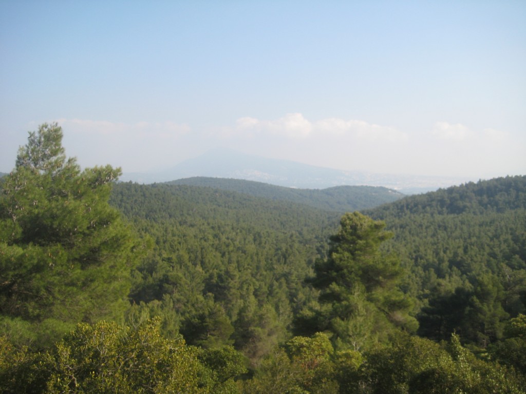 Διαδρομή προς την τεχνητή λίμνη Κιθάρα.