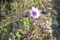 nature70